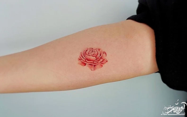 تاتوی گل سرخ